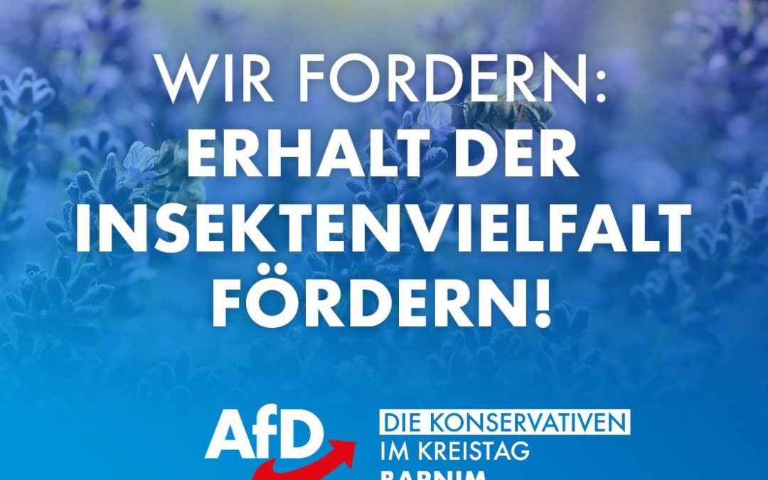 +++ Aktuelles von Ihrer Kreistagsfraktion AfD-Die Konservativen +++